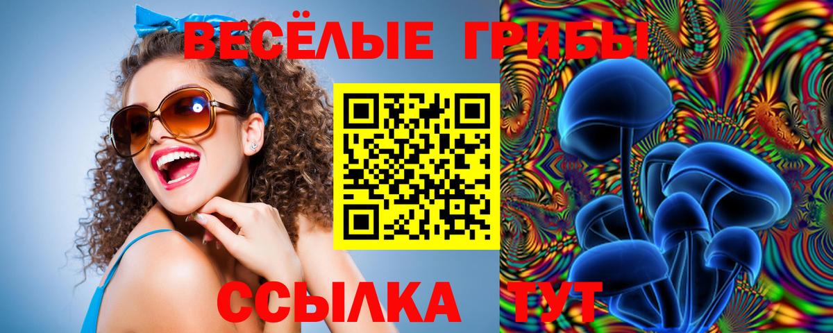 Псилоцибиновые грибы прущие грибы Чита